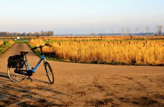 E-bikes voor woon-werkverkeer: de perfecte oplossing voor stedelijke mobiliteit